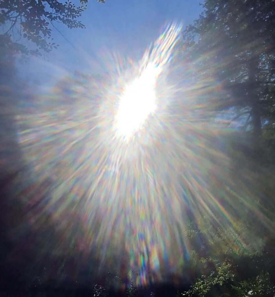Auf diesem Bild scheint die Sonne